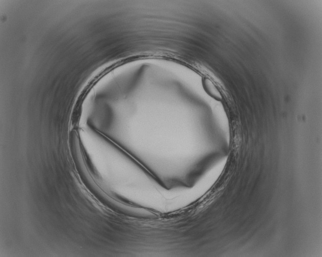 X0000081490940200702100026