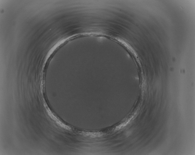 X0000081490941200702100026