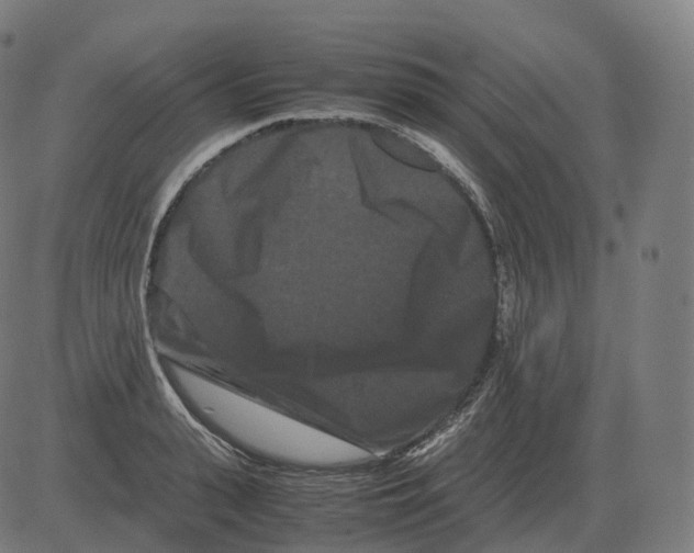 X0000081490943200702100026