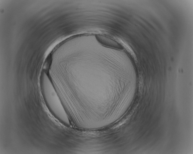 X0000081490944200702100026