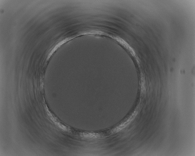 X0000081490945200702100026