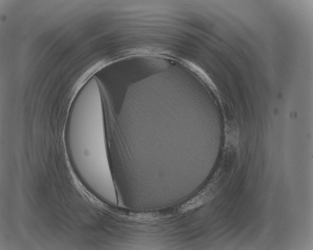 X0000081490946200702100026