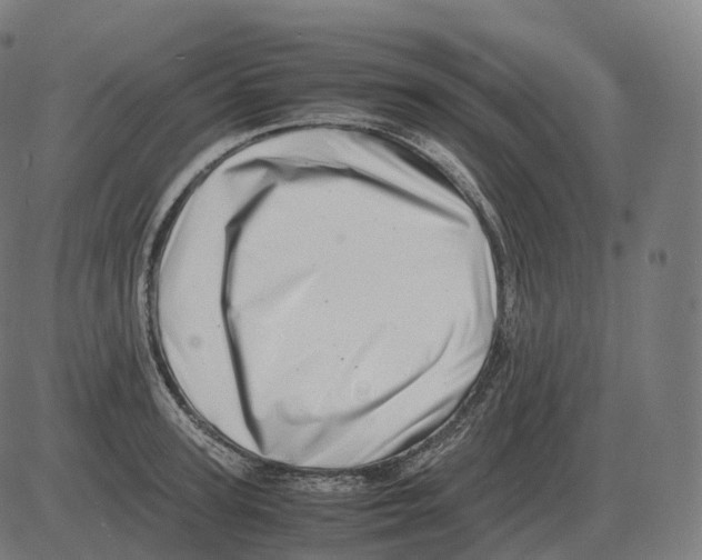 X0000081490947200702100026