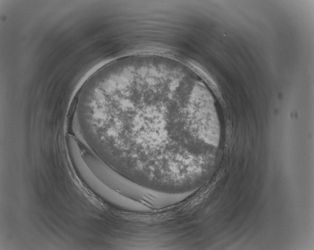 X0000081490948200702100026