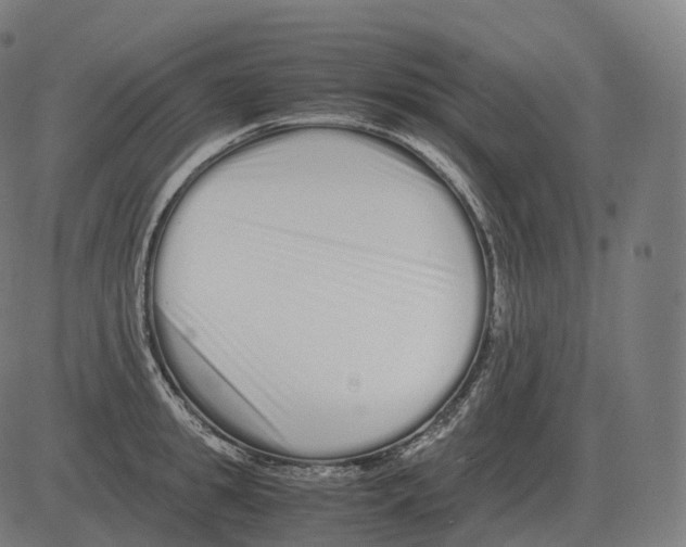 X0000081490949200702100027