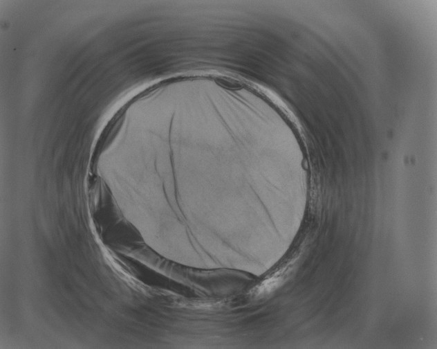 X0000081490951200702100027