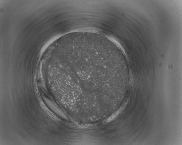 X0000081490952200702100027