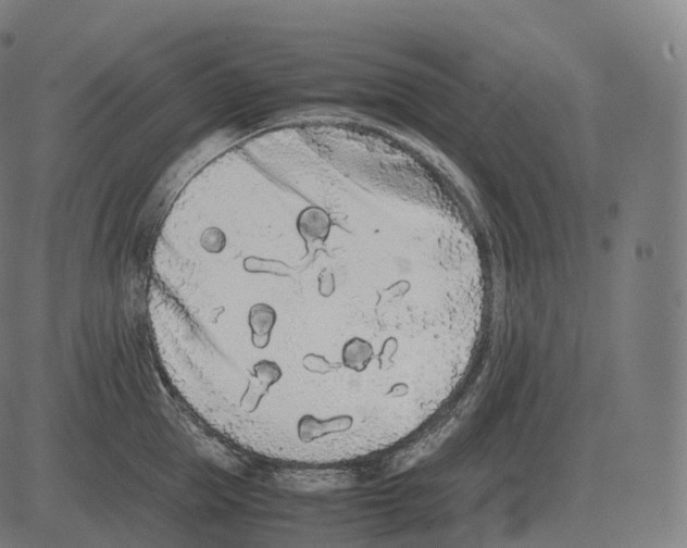 X0000081490953200702100027