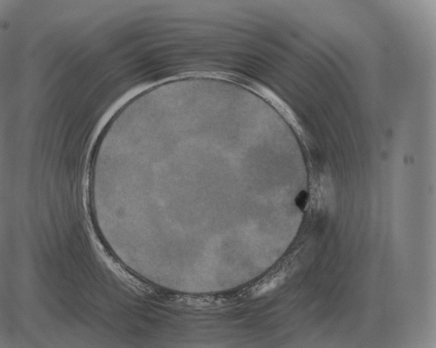 X0000081490955200702100027