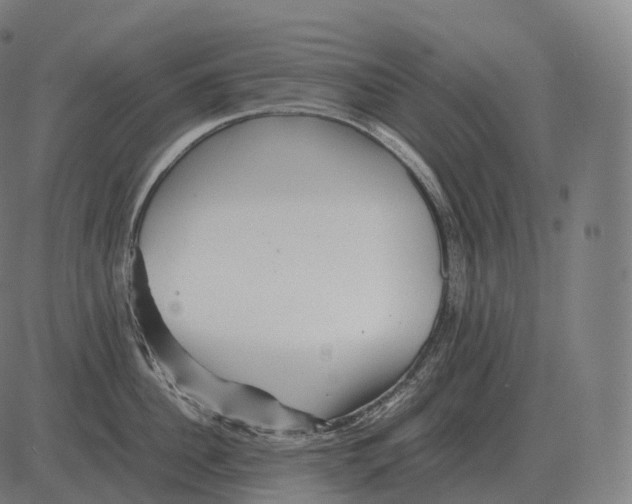 X0000081490956200702100027