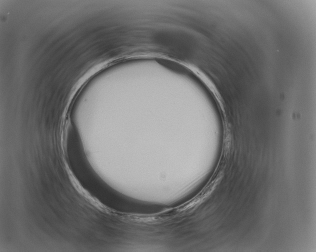 X0000081490957200702100027