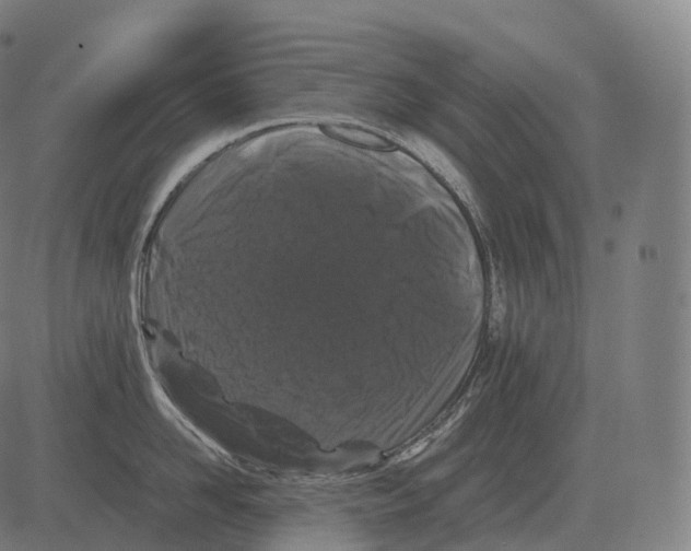 X0000081490958200702100027