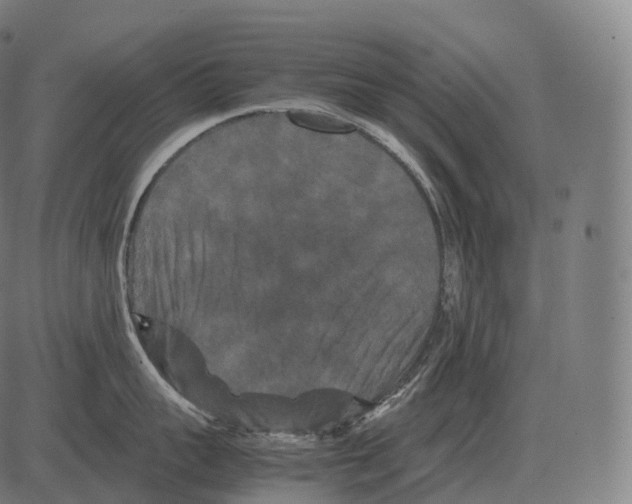 X0000081490959200702100027