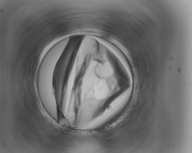 X0000081490960200702100027