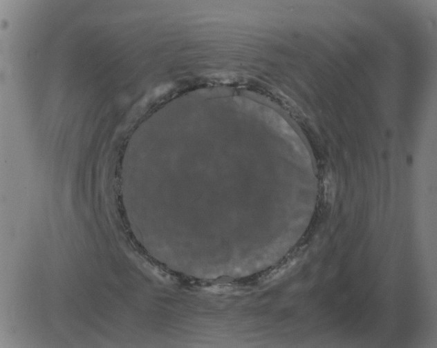 X0000081490961200702100026