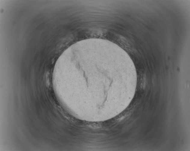 X0000081490962200702100026