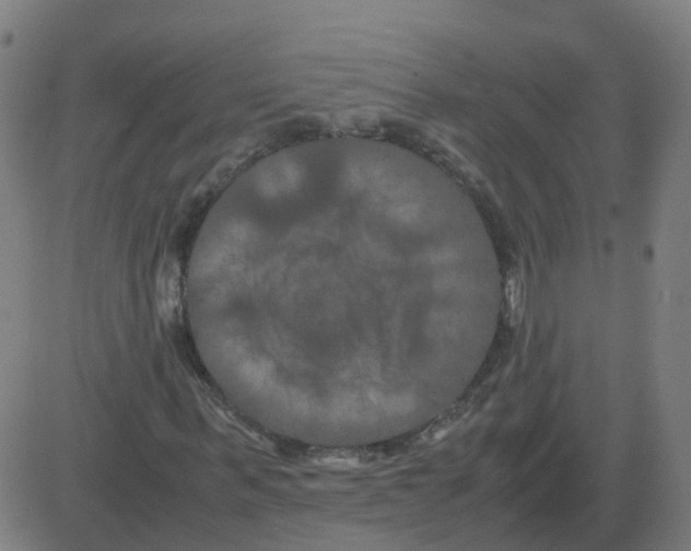 X0000081490963200702100026