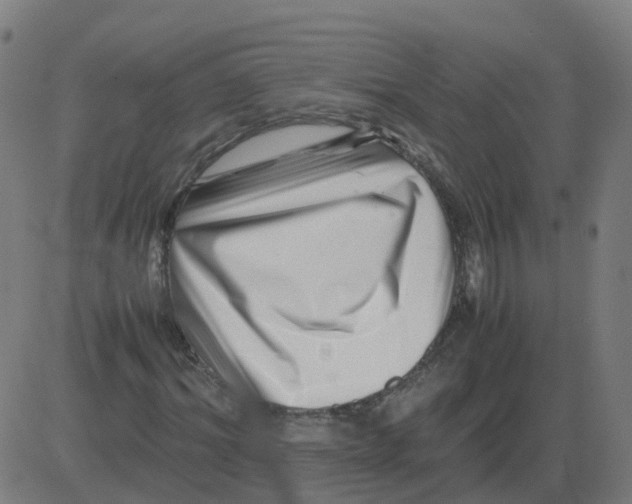 X0000081490964200702100026