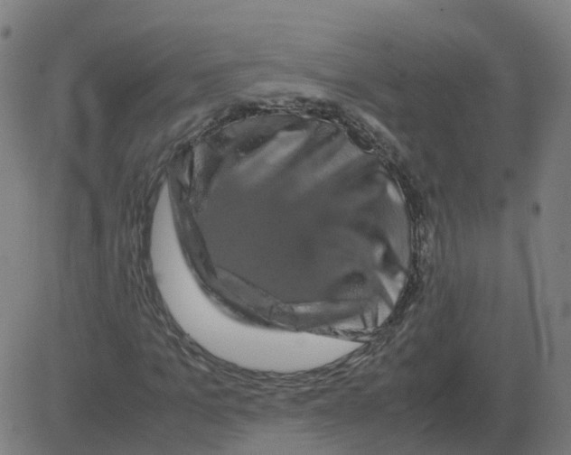 X0000081490965200702100026