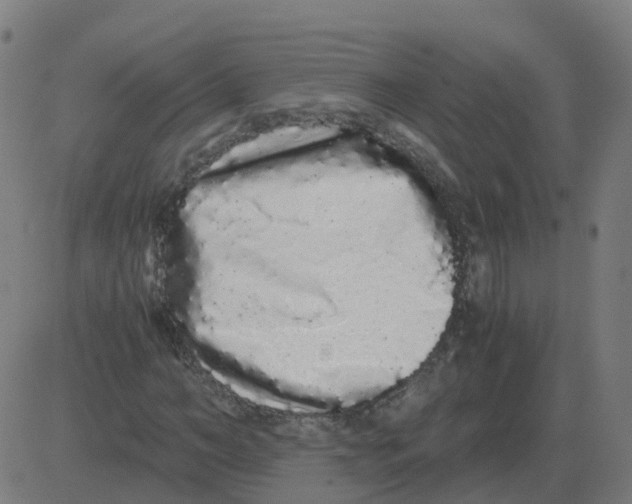 X0000081490966200702100026