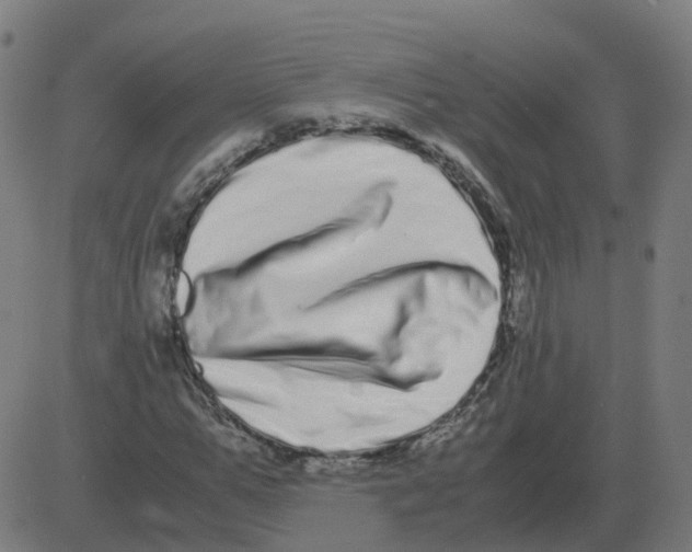 X0000081490967200702100026