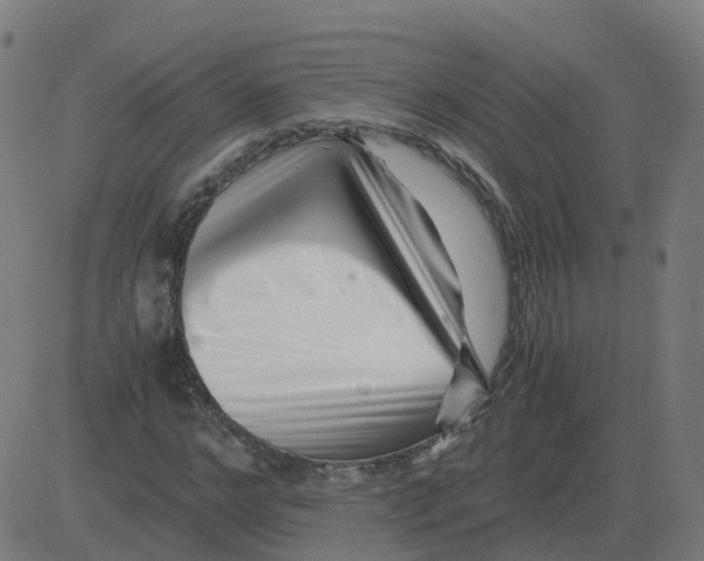 X0000081490968200702100026