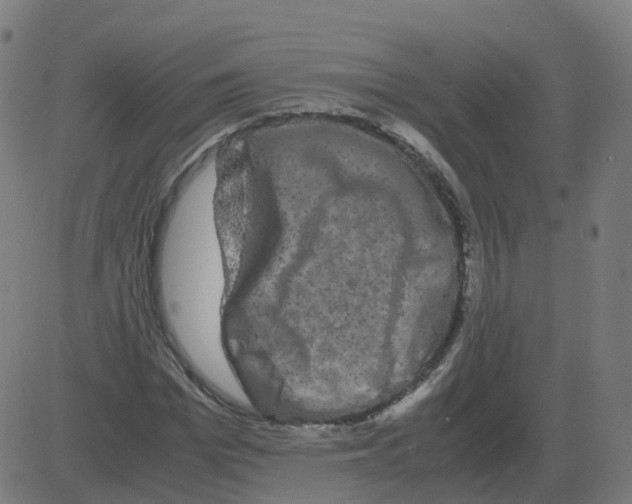 X0000081490969200702100026