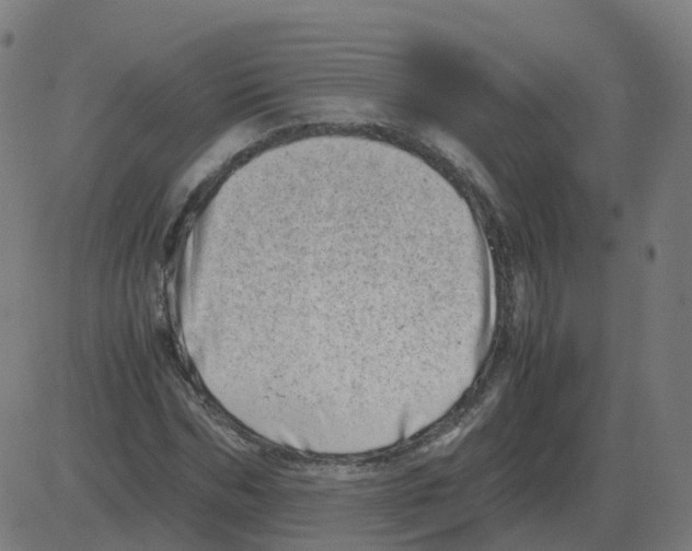 X0000081490970200702100026