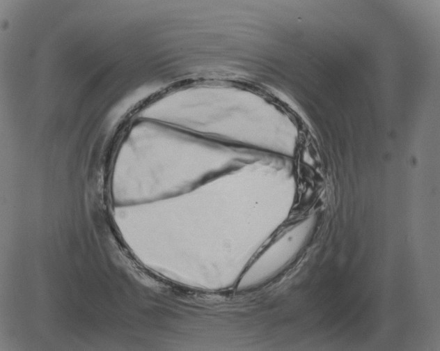 X0000081490971200702100026