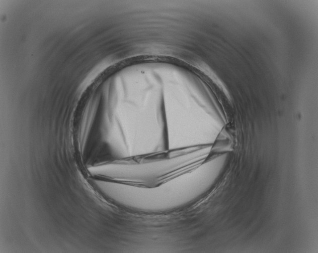 X0000081490972200702100026