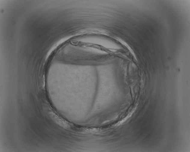 X0000081490973200702100026