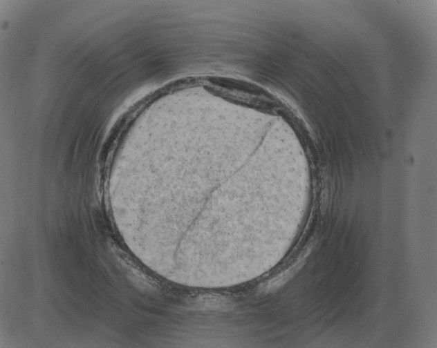 X0000081490974200702100026