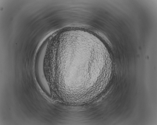 X0000081490976200702100026