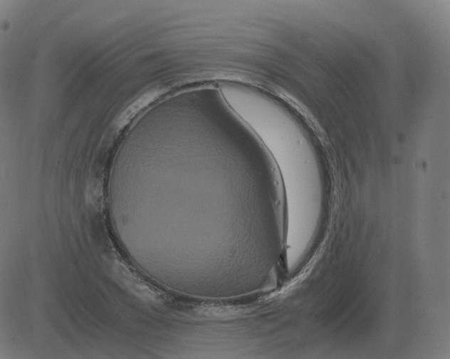 X0000081490977200702100026