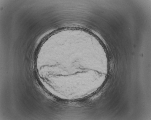 X0000081490979200702100026