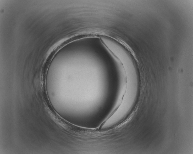 X0000081490981200702100026