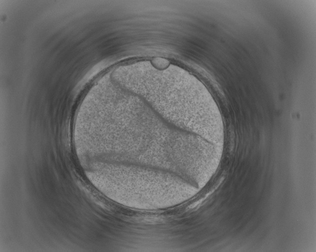 X0000081490982200702100026