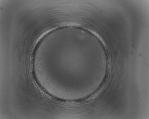 X0000081490983200702100026