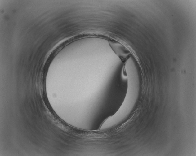 X0000081490984200702100026