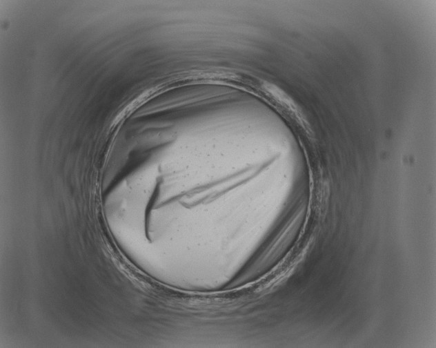 X0000081490985200702100026