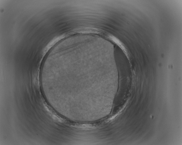 X0000081490986200702100026