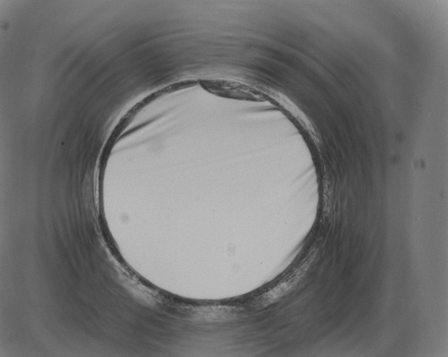 X0000081490988200702100025