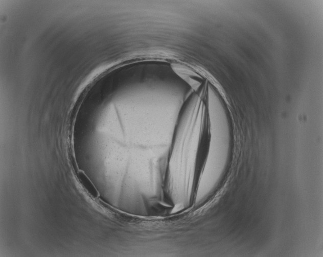 X0000081490989200702100025