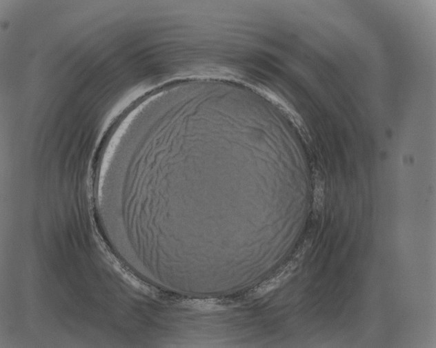 X0000081490990200702100025