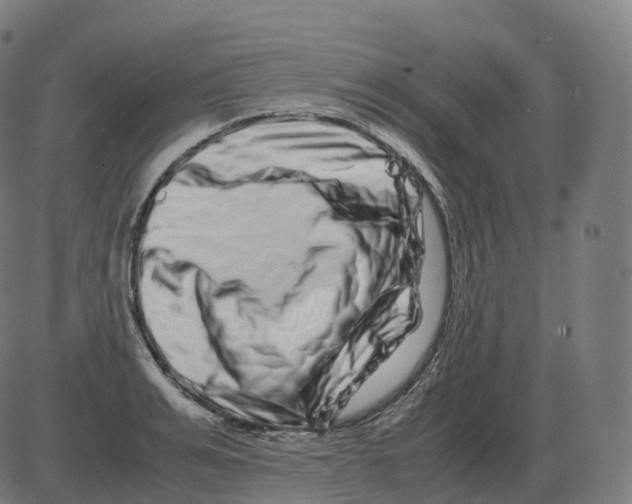 X0000081490991200702100025