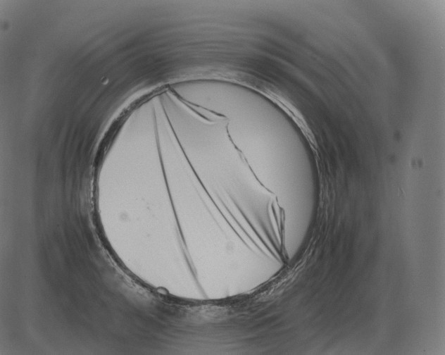 X0000081490992200702100025