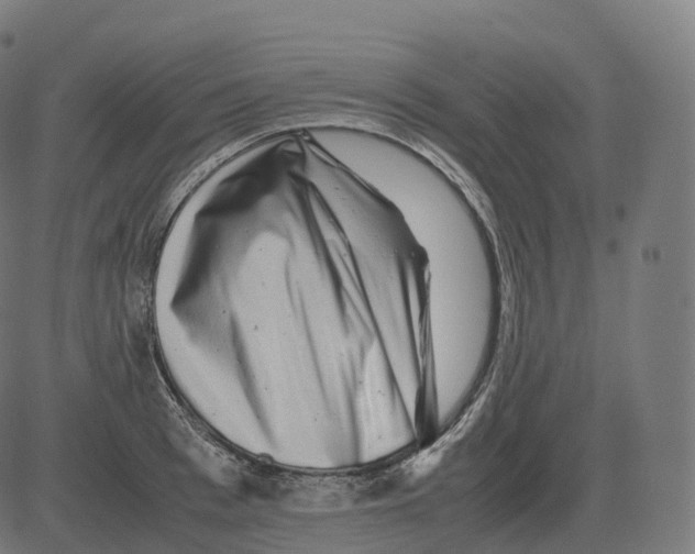 X0000081490993200702100025