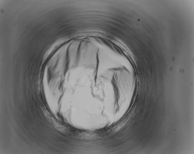 X0000081490994200702100025