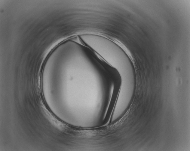 X0000081490996200702100025