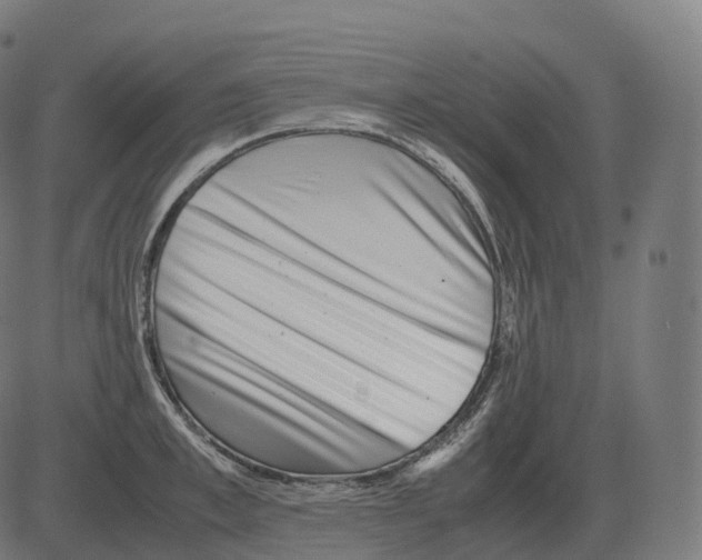 X0000081490997200702100025